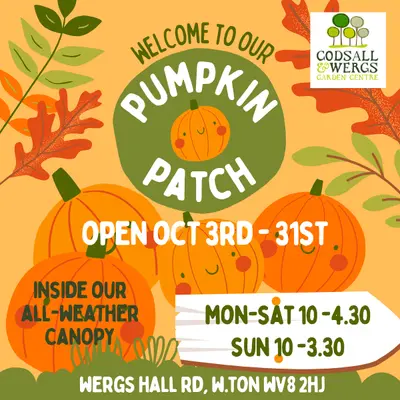 Pumpkin Patch