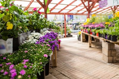Spring at Codsall & Wergs